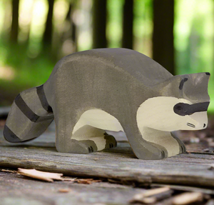 Raccoon Raccoon