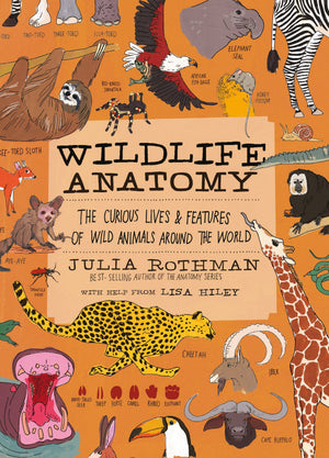 Wildlife Anatomy Wildlife Anatomy