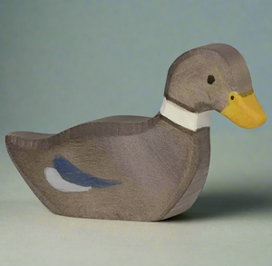 Brown Duck Brown Duck