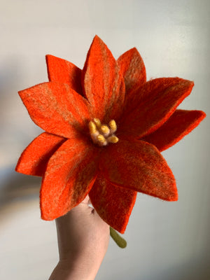 Wildflowers Wildflowers