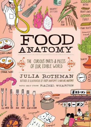 Food Anatomy Food Anatomy