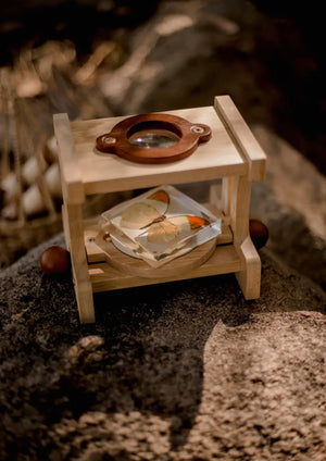 Microscope Microscope