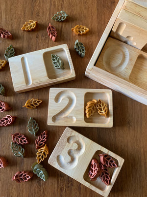 Writing and Counting Trays Writing and Counting Trays