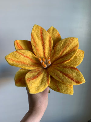 Wildflowers Wildflowers