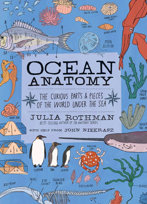 Ocean Anatomy: The Curious Parts & Pieces Ocean Anatomy: The Curious Parts & Pieces