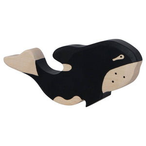 Orca whale Orca whale