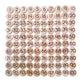 Mini Counting Coins (1") (Set of 100)