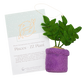 Plant Ornament Astrology Signs With Card