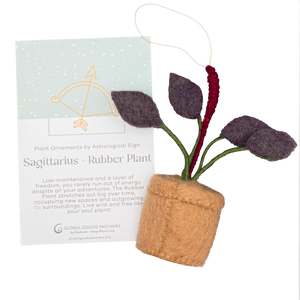 Plant Ornament Astrology Signs With Card