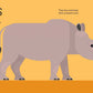 Wild Animals: Panoramic Pop-Ups
