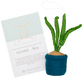 Plant Ornament Astrology Signs With Card