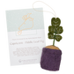 Plant Ornament Astrology Signs With Card