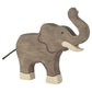 Elephant, trunk raised