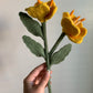Prime Rose Flowers
