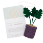 Plant Ornament Astrology Signs With Card