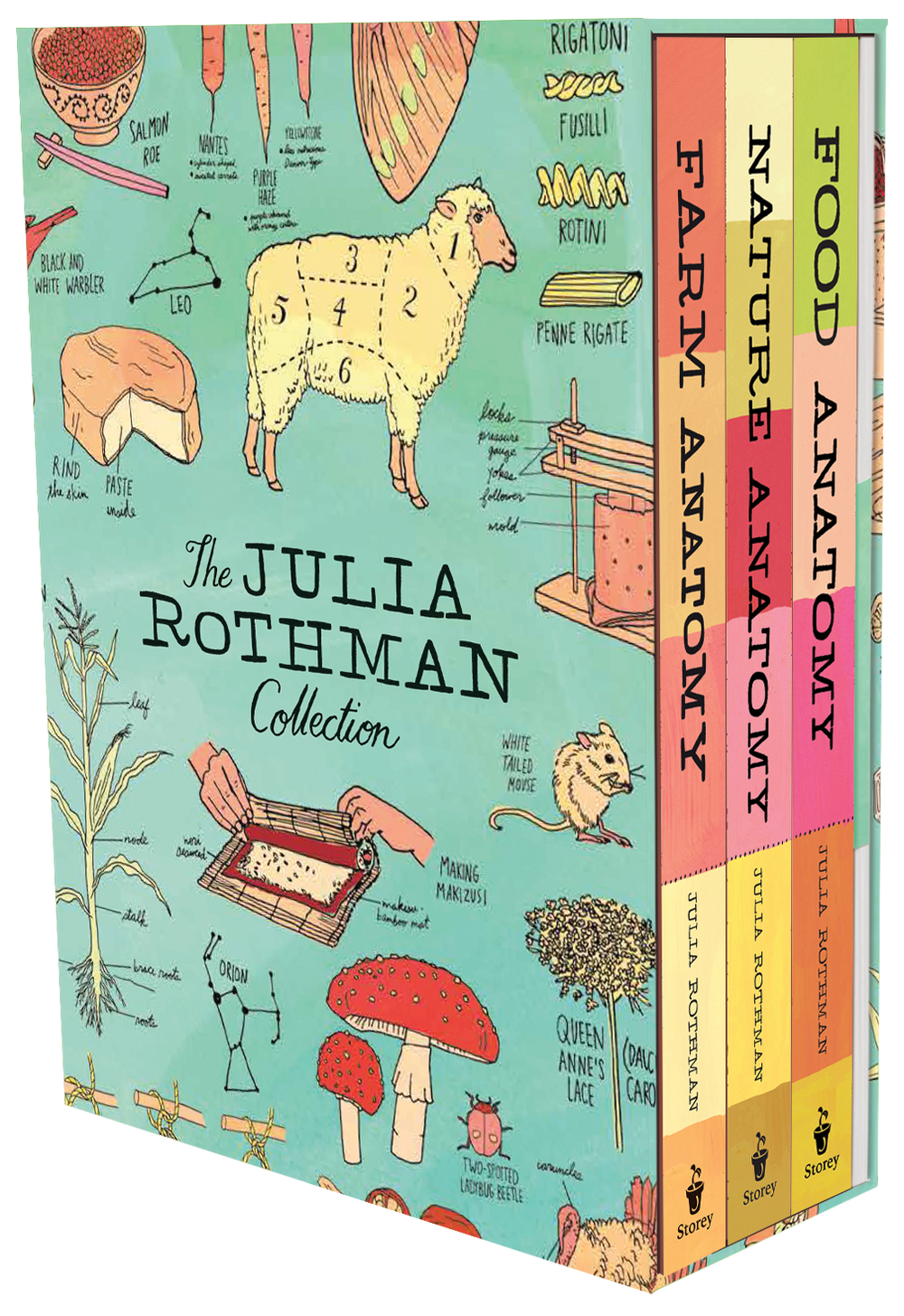 The Julia Rothman Collection