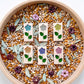 6pc. Pastel Summer Flower Gem Blocks