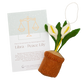 Plant Ornament Astrology Signs With Card