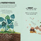 5-Minute Nature Stories