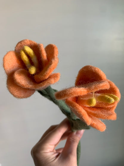 Prime Rose Flowers