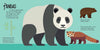 Wild Animals: Panoramic Pop-Ups