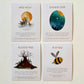 Full Moon Fairy Mindfulness Cards