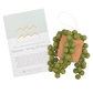 Plant Ornament Astrology Signs With Card