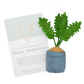 Plant Ornament Astrology Signs With Card