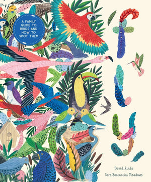 Fly: A Family Guide to Birds