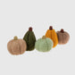 Felt Pumpkins & Gourds- set of 5