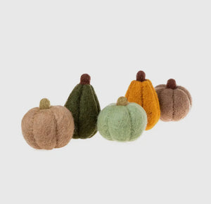 Felt Pumpkins & Gourds- set of 5