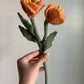 Prime Rose Flowers