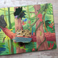 Let's Explore Book- The Rainforest