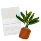 Plant Ornament Astrology Signs With Card