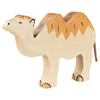 Camel
