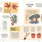 Grow: A Family Guide to Plants