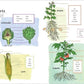 Farm Anatomy Activity Book
