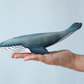 *Preorder* Bumbu Blue Whale