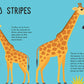 Wild Animals: Panoramic Pop-Ups
