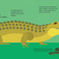 Wild Animals: Panoramic Pop-Ups
