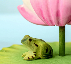 *Preorder* Bumbu Frog