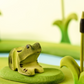 *Preorder* Bumbu Frog