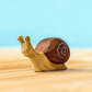 *Preorder* Bumbu Snail